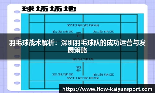 羽毛球战术解析:深圳羽毛球队的成功运营与发展策略